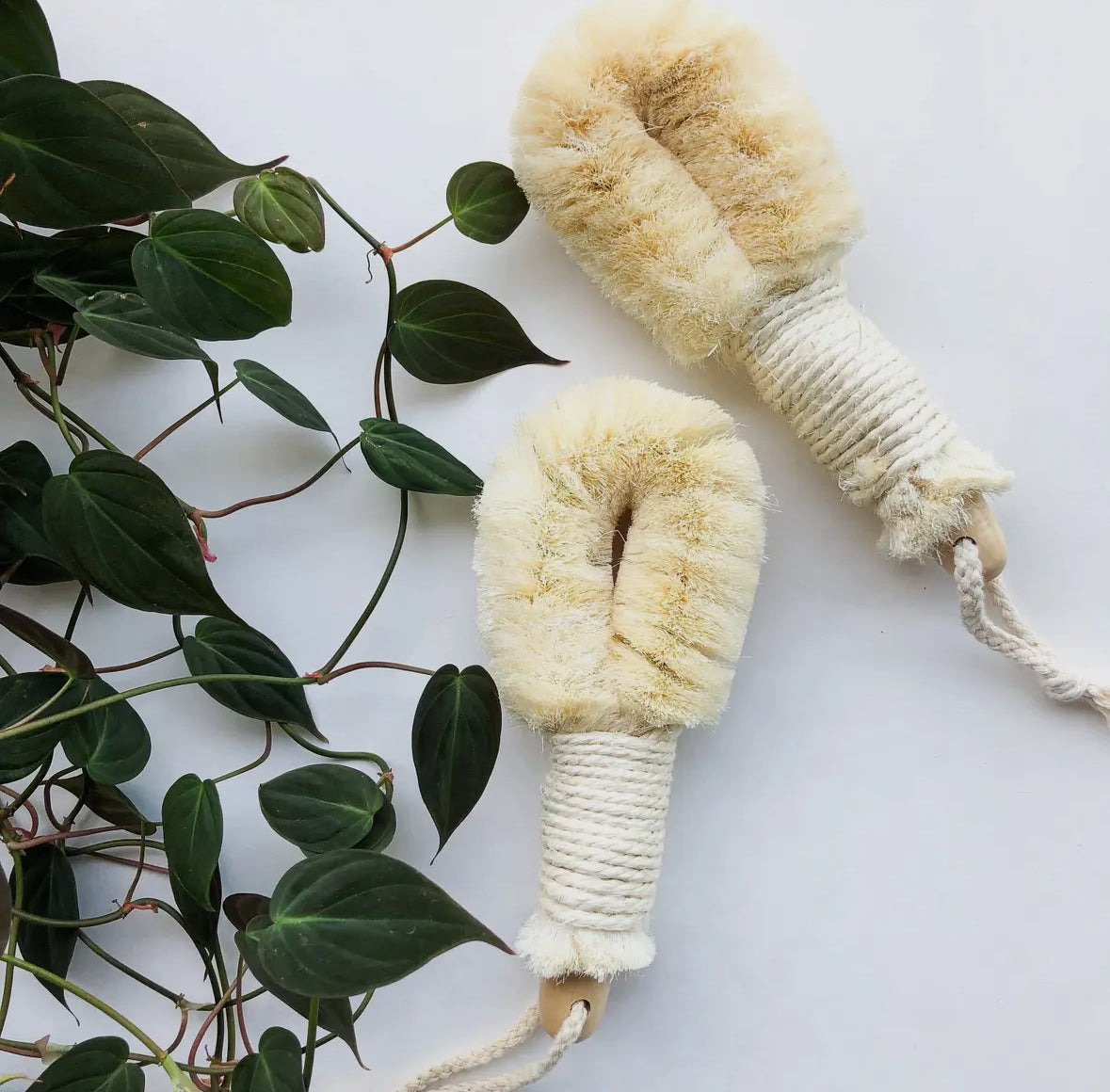 Natural Sisal Dry Brush
